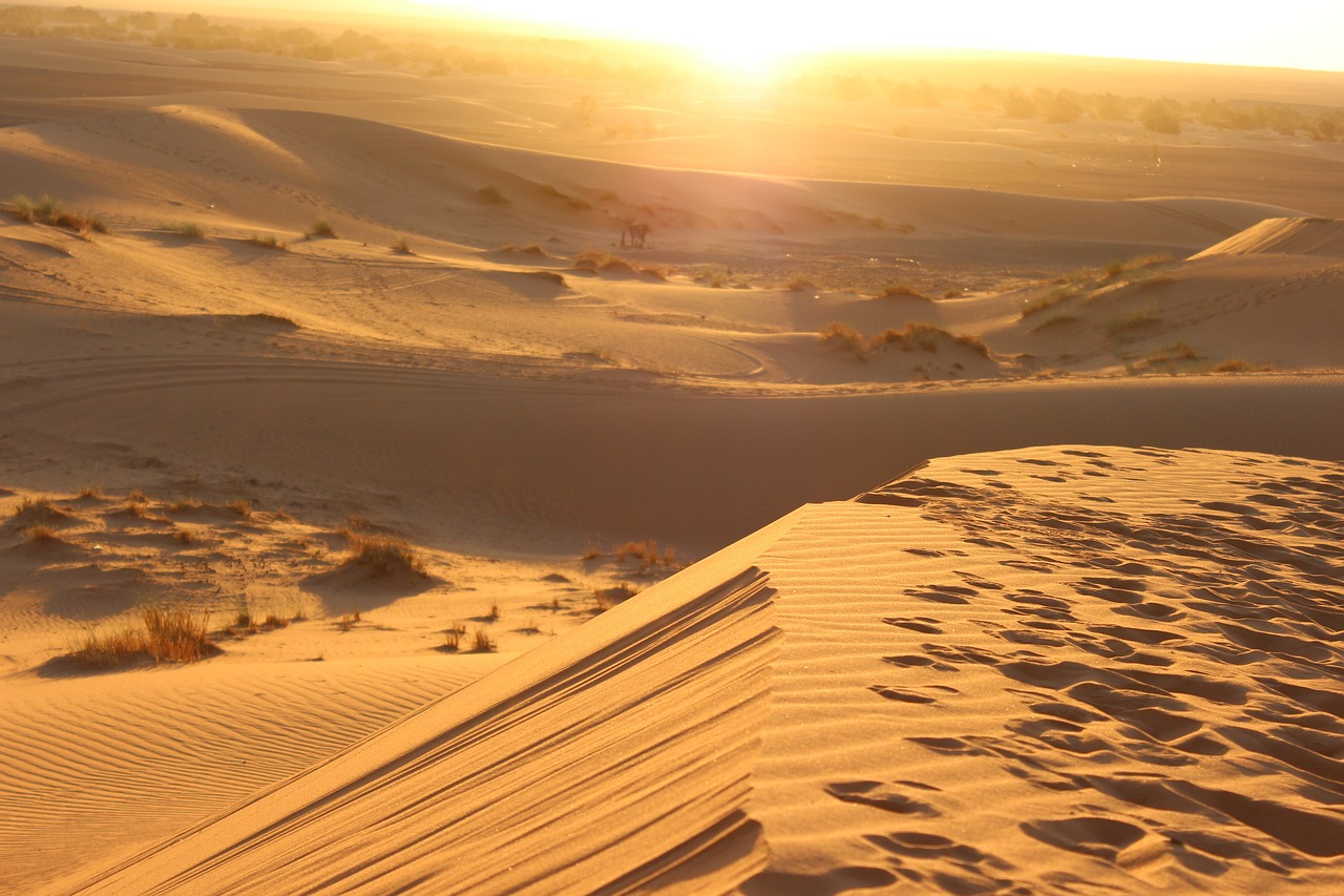 Constel·lacions Familiars al desert